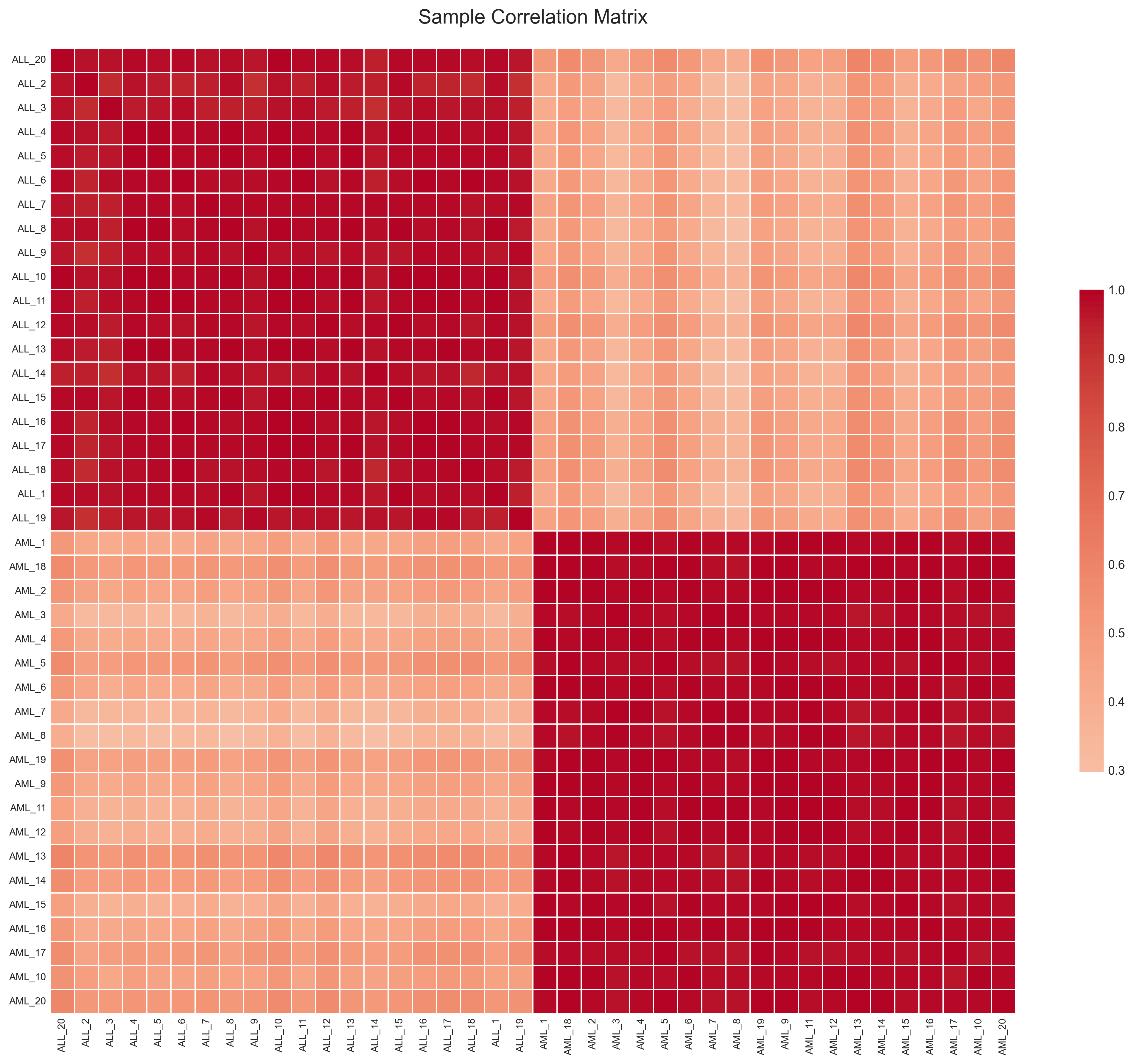 Expression heatmap of top genes